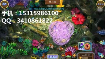 细数捕鱼游戏软件开发的游戏技巧 趣味性十足与经典套路设计