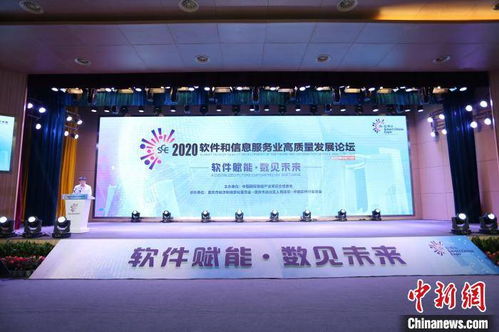专家齐聚重庆 共话软件产业创新与应用新路径